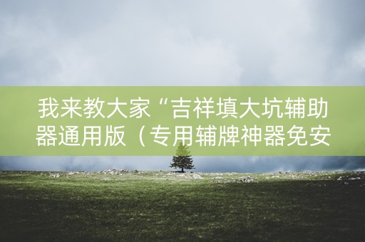我来教大家“吉祥填大坑辅助器通用版（专用辅牌神器免安装）
