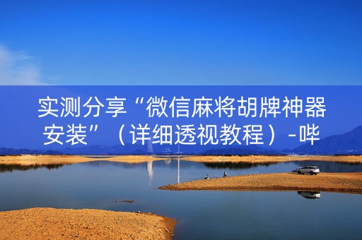 实测分享“微信麻将胡牌神器安装”（详细透视教程）-哔哩哔哩