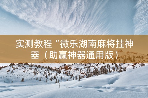实测教程“微乐湖南麻将挂神器（助赢神器通用版）