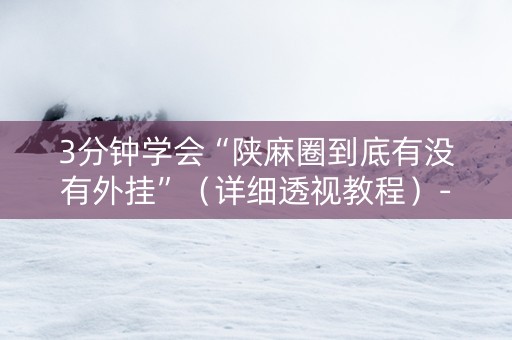 3分钟学会“陕麻圈到底有没有外挂”（详细透视教程）-哔哩哔哩