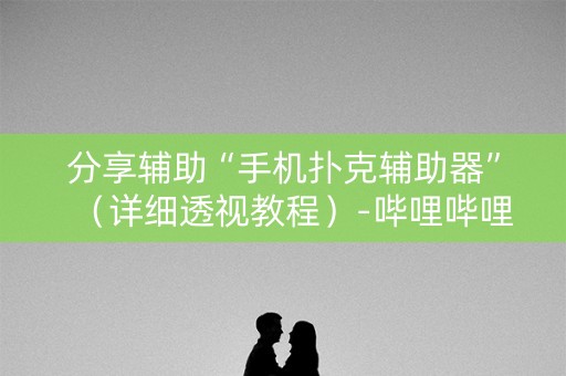 分享辅助“手机扑克辅助器”（详细透视教程）-哔哩哔哩
