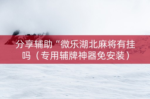 分享辅助“微乐湖北麻将有挂吗（专用辅牌神器免安装）
