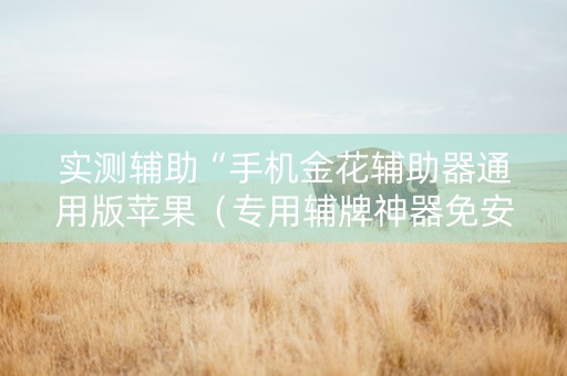 实测辅助“手机金花辅助器通用版苹果（专用辅牌神器免安装）