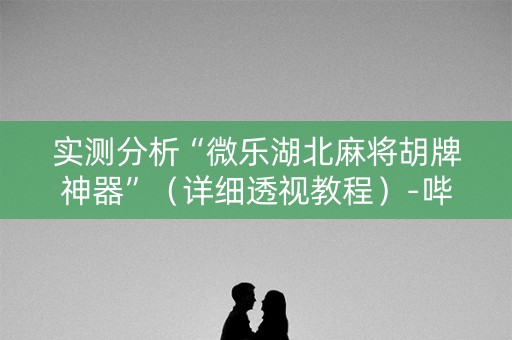 实测分析“微乐湖北麻将胡牌神器”（详细透视教程）-哔哩哔哩