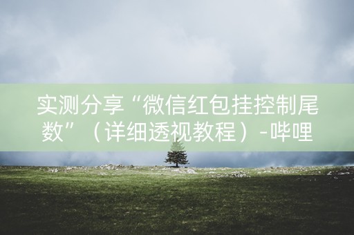 实测分享“微信红包挂控制尾数”（详细透视教程）-哔哩哔哩