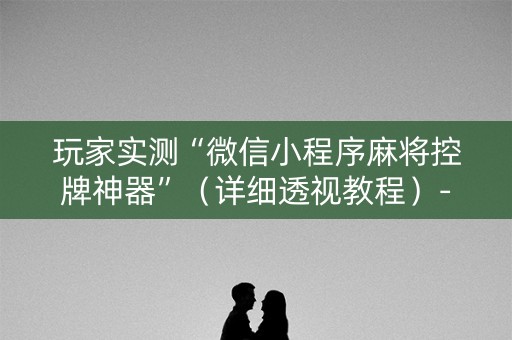 玩家实测“微信小程序麻将控牌神器”（详细透视教程）-哔哩哔哩