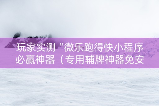 玩家实测“微乐跑得快小程序必赢神器（专用辅牌神器免安装）