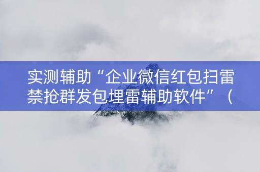 实测辅助“企业微信红包扫雷禁抢群发包埋雷辅助软件”（详细透视教程）-哔哩哔哩