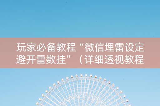 玩家必备教程“微信埋雷设定避开雷数挂”（详细透视教程）-哔哩哔哩