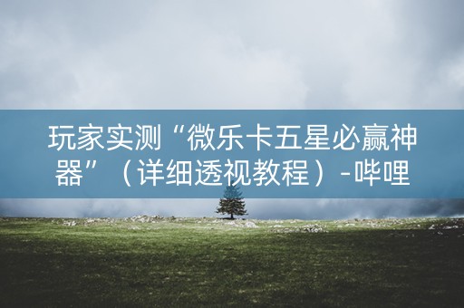 玩家实测“微乐卡五星必赢神器”（详细透视教程）-哔哩哔哩