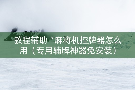 教程辅助“麻将机控牌器怎么用（专用辅牌神器免安装）