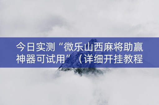今日实测“微乐山西麻将助赢神器可试用”（详细开挂教程）-哔哩哔哩