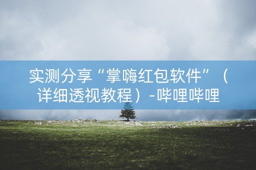 实测分享“掌嗨红包软件”（详细透视教程）-哔哩哔哩
