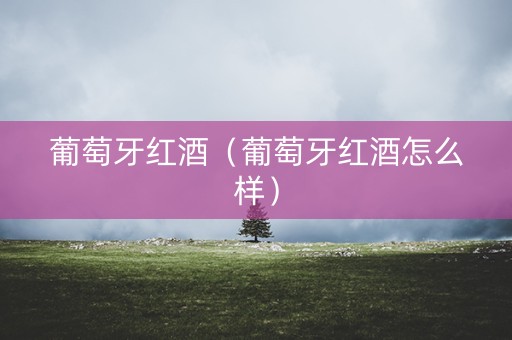 葡萄牙红酒（葡萄牙红酒怎么样）