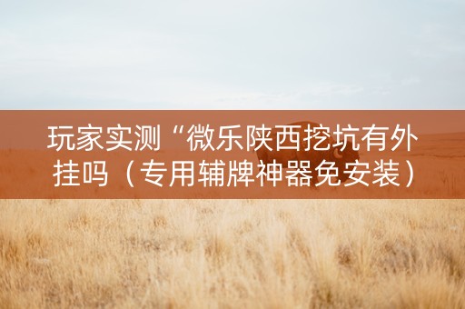 玩家实测“微乐陕西挖坑有外挂吗（专用辅牌神器免安装）