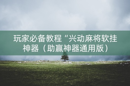 玩家必备教程“兴动麻将软挂神器（助赢神器通用版）