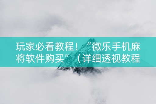 玩家必看教程！“微乐手机麻将软件购买”（详细透视教程）-哔哩哔哩