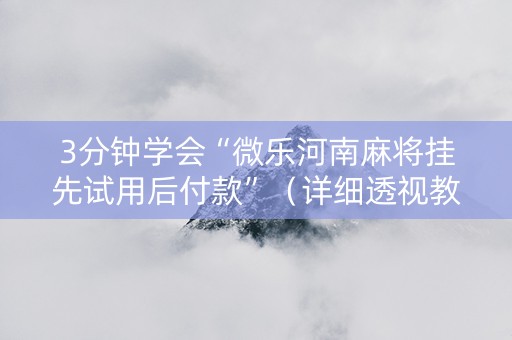 3分钟学会“微乐河南麻将挂先试用后付款”（详细透视教程）-哔哩哔哩