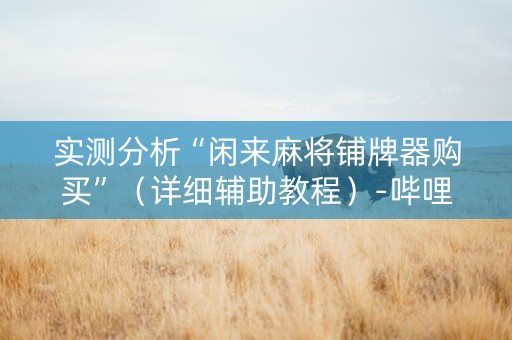 实测分析“闲来麻将铺牌器购买”（详细辅助教程）-哔哩哔哩