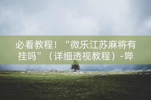 必看教程！“微乐江苏麻将有挂吗”（详细透视教程）-哔哩哔哩