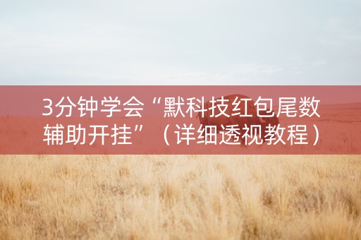 3分钟学会“默科技红包尾数辅助开挂”（详细透视教程）-哔哩哔哩