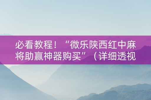 必看教程！“微乐陕西红中麻将助赢神器购买”（详细透视教程）-哔哩哔哩