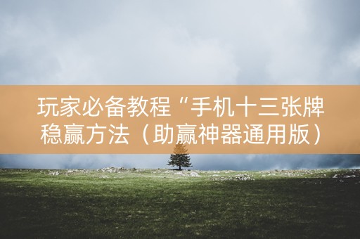 玩家必备教程“手机十三张牌稳赢方法（助赢神器通用版）