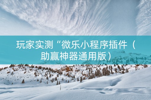 玩家实测“微乐小程序插件（助赢神器通用版）