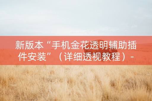 新版本“手机金花透明辅助插件安装”（详细透视教程）-哔哩哔哩
