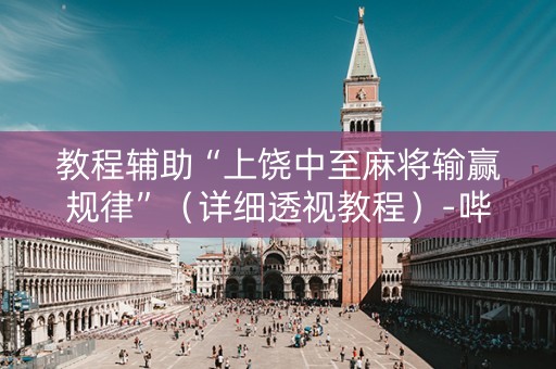 教程辅助“上饶中至麻将输赢规律”（详细透视教程）-哔哩哔哩