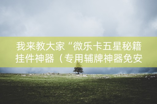 我来教大家“微乐卡五星秘籍挂件神器（专用辅牌神器免安装）