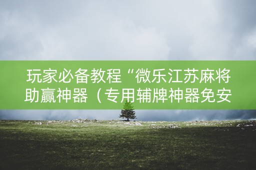 玩家必备教程“微乐江苏麻将助赢神器（专用辅牌神器免安装）