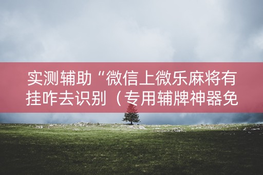 实测辅助“微信上微乐麻将有挂咋去识别（专用辅牌神器免安装）