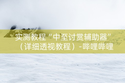 实测教程“中至讨赏辅助器”（详细透视教程）-哔哩哔哩