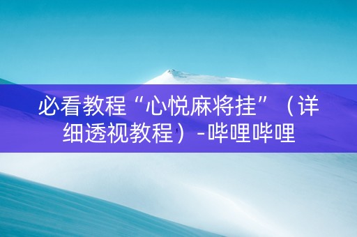 必看教程“心悦麻将挂”（详细透视教程）-哔哩哔哩