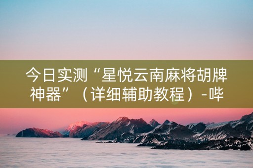 今日实测“星悦云南麻将胡牌神器”（详细辅助教程）-哔哩哔哩