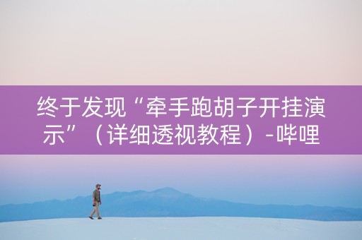 终于发现“牵手跑胡子开挂演示”（详细透视教程）-哔哩哔哩
