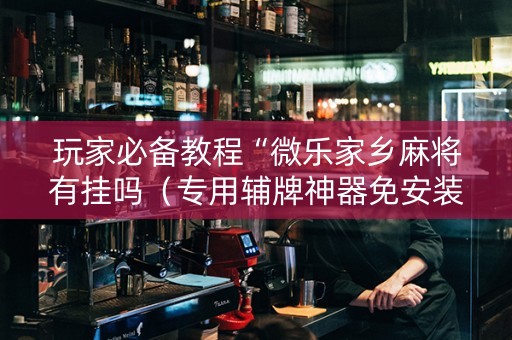 玩家必备教程“微乐家乡麻将有挂吗（专用辅牌神器免安装）