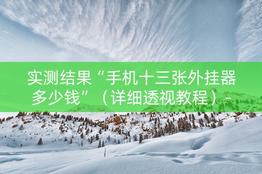 实测结果“手机十三张外挂器多少钱”（详细透视教程）-哔哩哔哩