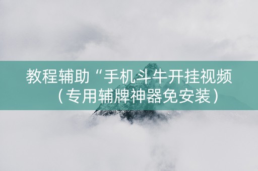 教程辅助“手机斗牛开挂视频（专用辅牌神器免安装）
