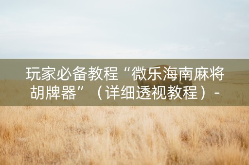 玩家必备教程“微乐海南麻将胡牌器”（详细透视教程）-哔哩哔哩