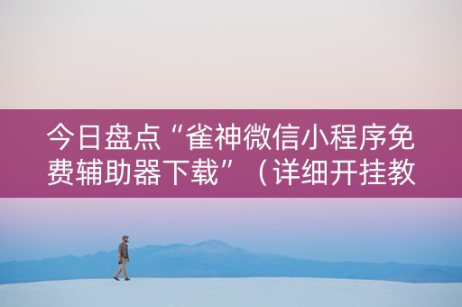 今日盘点“雀神微信小程序免费辅助器下载”（详细开挂教程）-哔哩哔哩