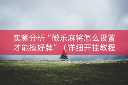 实测分析“微乐麻将怎么设置才能摸好牌”（详细开挂教程）-哔哩哔哩