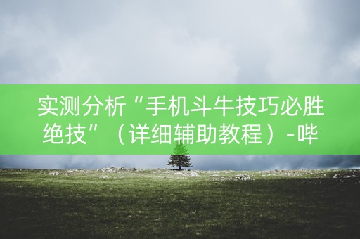 实测分析“手机斗牛技巧必胜绝技”（详细辅助教程）-哔哩哔哩