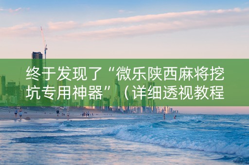 终于发现了“微乐陕西麻将挖坑专用神器”（详细透视教程）-哔哩哔哩