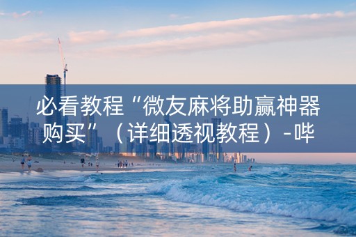 必看教程“微友麻将助赢神器购买”（详细透视教程）-哔哩哔哩