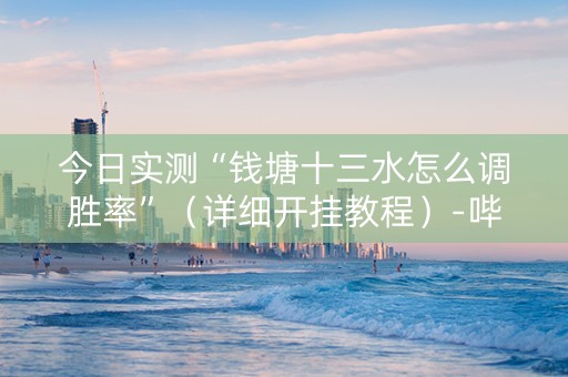 今日实测“钱塘十三水怎么调胜率”（详细开挂教程）-哔哩哔哩