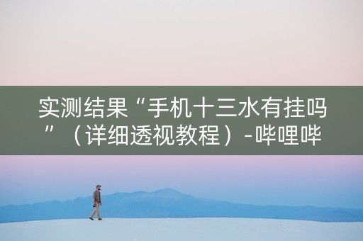 实测结果“手机十三水有挂吗”（详细透视教程）-哔哩哔哩