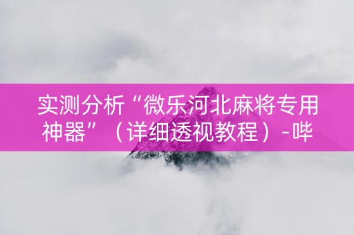 实测分析“微乐河北麻将专用神器”（详细透视教程）-哔哩哔哩