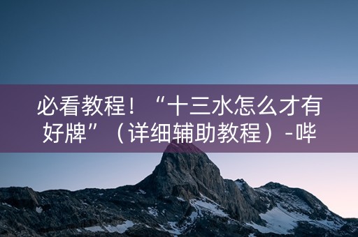必看教程！“十三水怎么才有好牌”（详细辅助教程）-哔哩哔哩